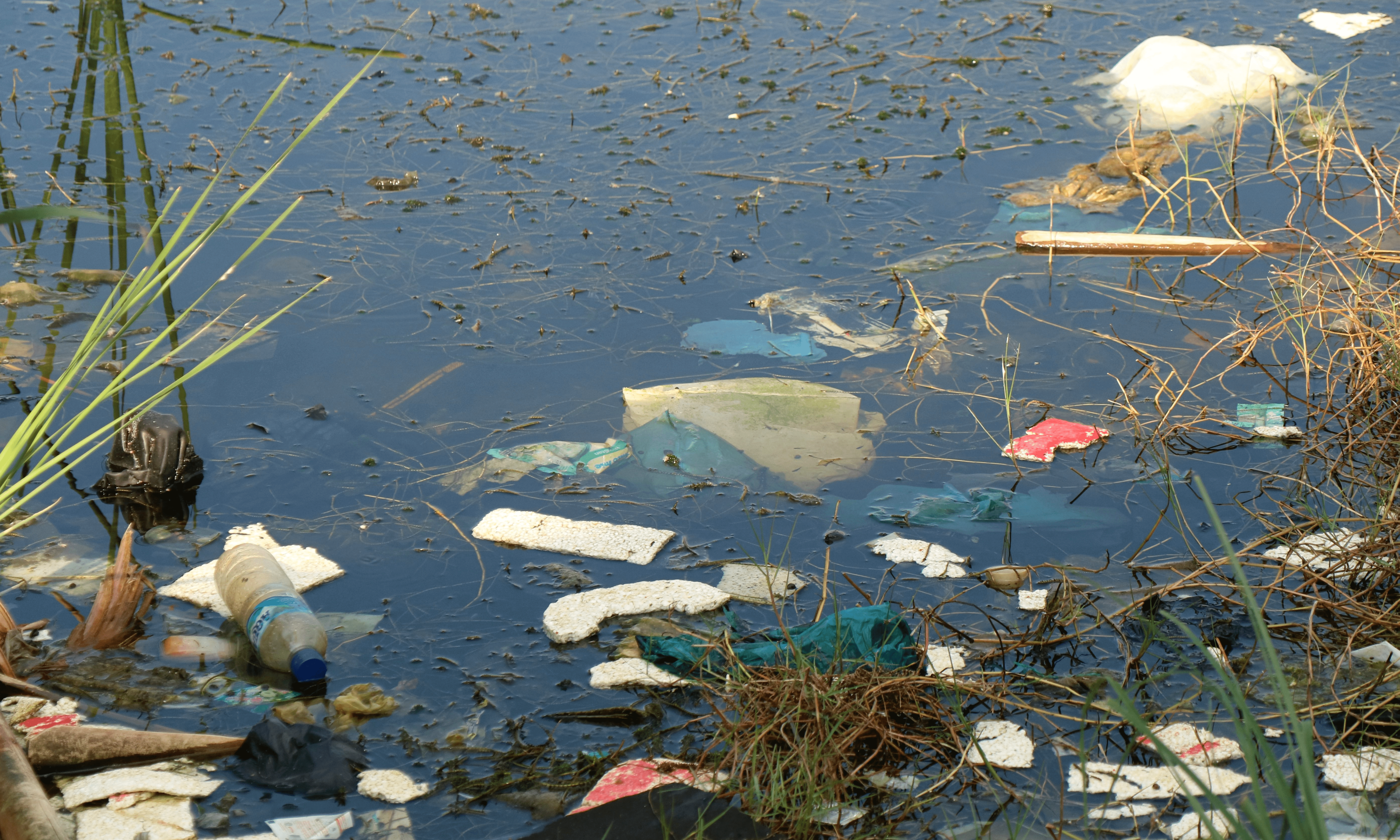 Origin of plastic pollution