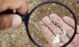 microplastic research