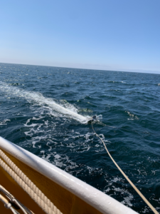 Ocean