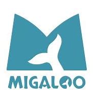 Logo Team Migaloo